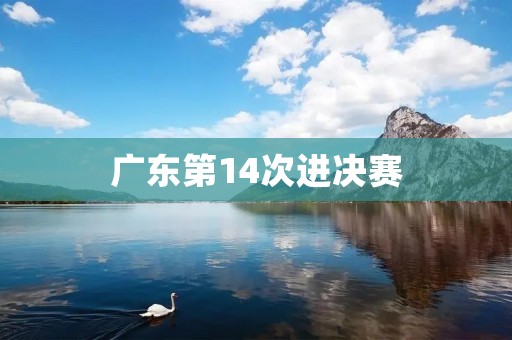 广东第14次进决赛:实力与拼搏的结晶 广东第14次进决赛:实力与拼搏的结晶