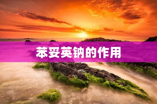 苯妥英钠的作用
