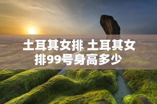 土耳其女排 土耳其女排99号身高多少 土耳其女排 土耳其女排99号身高多少