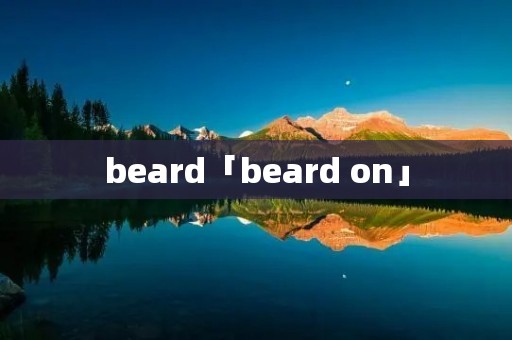 beard「beard on」