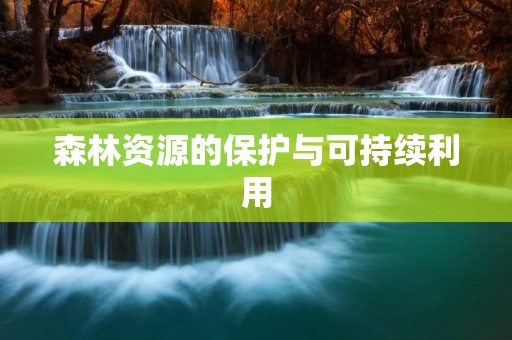 森林资源的保护与可持续利用