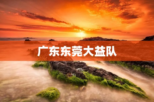 广东东莞大益队：冲击中超的黑马之路