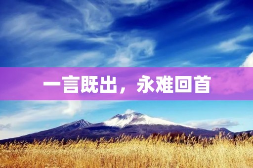 一言既出,永难回首