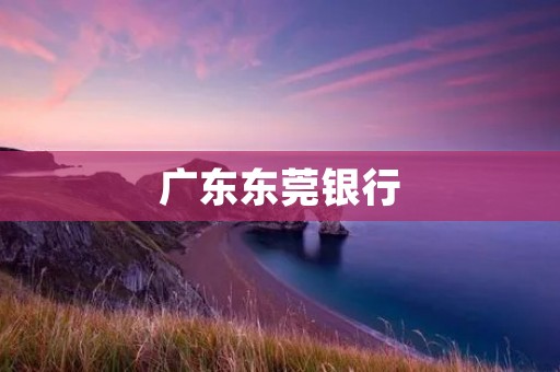 广东东莞**：传统与创新并行的金融巨头