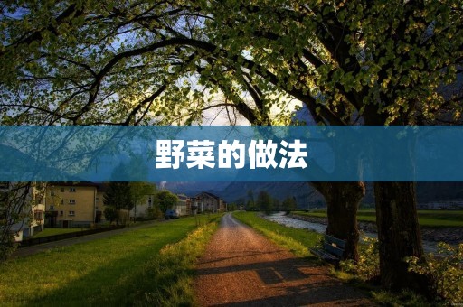 野菜的做法：寻味自然的美味佳肴