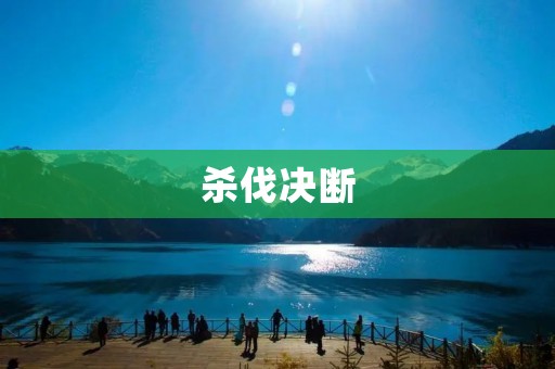 杀伐决断:在变幻的时代中勇往直前
