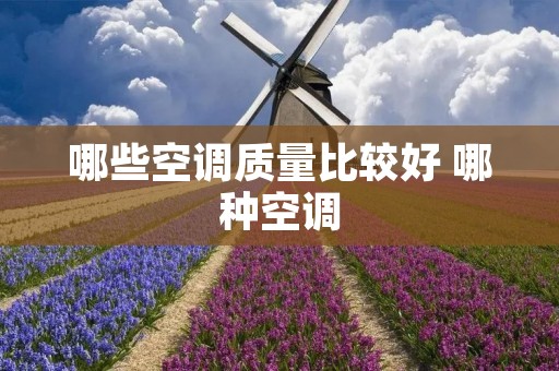 哪些空调质量比较好 哪种空调 哪些空调质量比较好 哪种空调