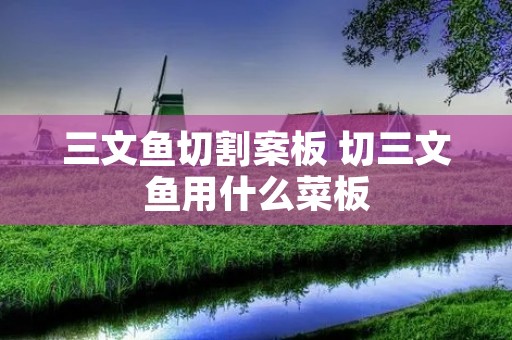 三文鱼切割案板 切三文鱼用什么菜板