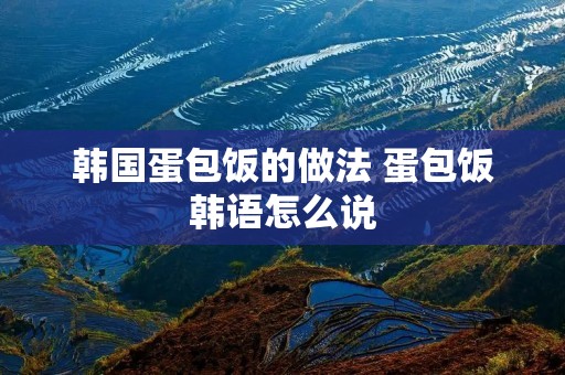 韩国蛋包饭的做法 蛋包饭韩语怎么说