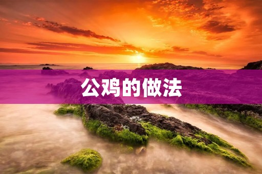 公鸡的做法