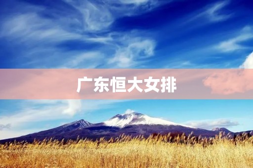 广东恒大女排：争夺冠军的不屈之魂