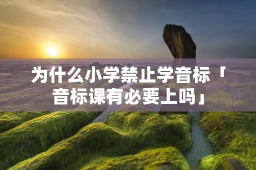 为什么小学禁止学音标「音标课有必要上吗」