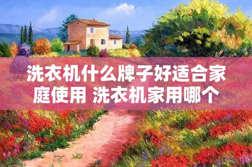 洗衣机什么牌子好适合家庭使用 洗衣机家用哪个牌子的好