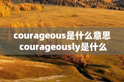 courageous是什么意思 courageously是什么意思