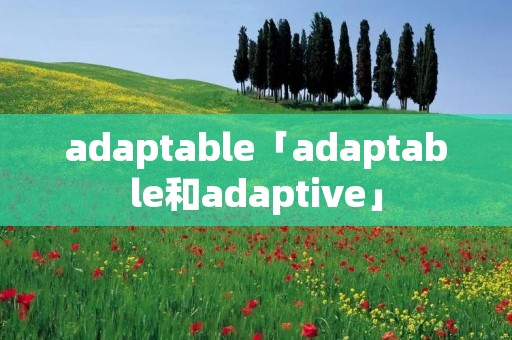 adaptable「adaptable和adaptive」