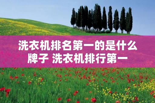 洗衣机排名第一的是什么牌子 洗衣机排行第一