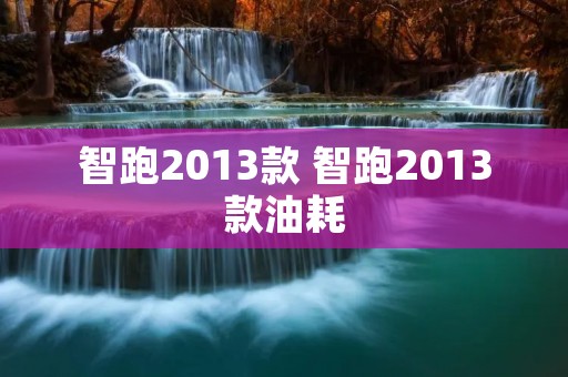 智跑2013款 智跑2013款油耗