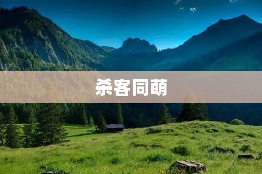 杀客同萌:探寻黑暗之中的光明
