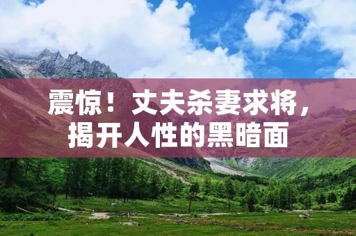 震惊!丈夫杀妻求将,揭开人性的黑暗面