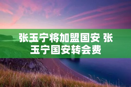 张玉宁将加盟国安 张玉宁国安转会费 张玉宁将加盟国安 张玉宁国安转会费