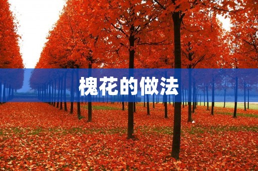槐花的做法：尝遍百味，滋味无穷