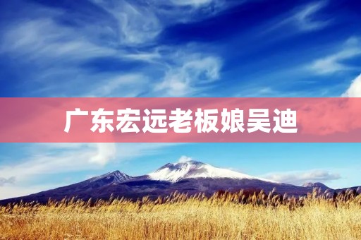 广东宏远老板娘吴迪：家族传承与商业智慧的完美结合