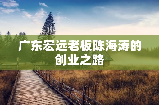 广东宏远老板陈海涛的创业之路