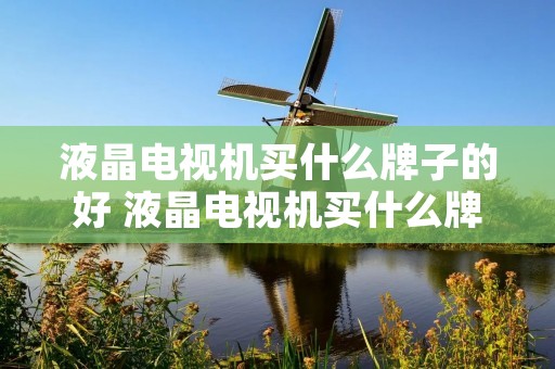 液晶电视机买什么牌子的好 液晶电视机买什么牌子的好用