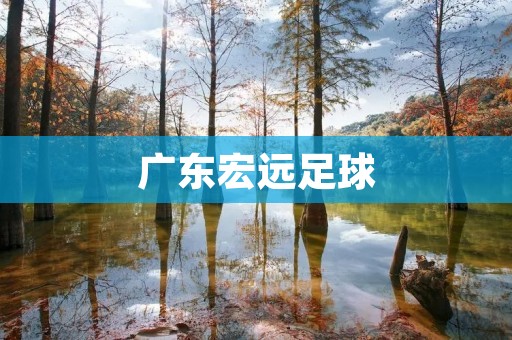 广东宏远足球：站在中国足球发展的前沿