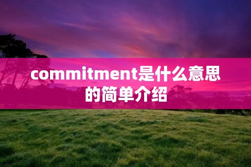 commitment是什么意思的简单介绍