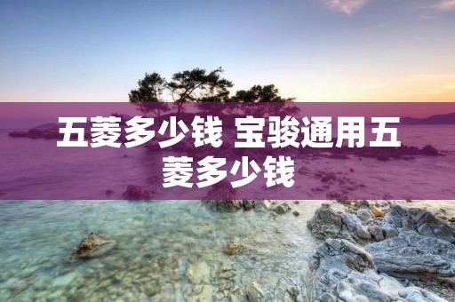 五菱多少钱 宝骏通用五菱多少钱 五菱多少钱 宝骏通用五菱多少钱