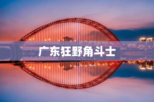 广东狂野角斗士：揭秘广东本土狂热的角斗士文化