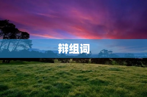 辩组词:让思维碰撞的辩论之美