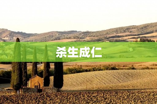 杀生成仁:探寻历史与道德的较量