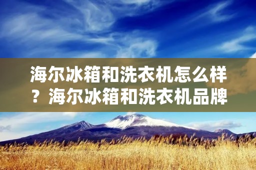 海尔冰箱和洗衣机怎么样?海尔冰箱和洗衣机品牌作为家电行业的领军者,一直以来都备受消费者的青睐。无论是在性能、品质还是用户体验方面,海尔冰箱和洗衣机都有着出色的表现。下面将从不同角度为大家介绍海尔冰箱和洗衣机的优势和特点。 海尔冰箱和洗衣机怎么样?海尔冰箱和洗衣机品牌作为家电行业的领军者,一直以来都备受消费者的青睐。无论是在性能、品质还是用户体验方面,海尔冰箱和洗衣机都有着出色的表现。下面将从不同角度为大家介绍海尔冰箱和洗衣机的优势和特点。