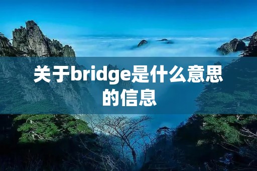 关于bridge是什么意思的信息 关于bridge是什么意思的信息