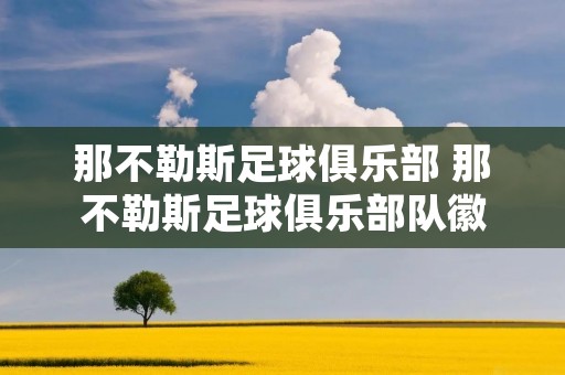 那不勒斯足球俱乐部 那不勒斯足球俱乐部队徽 那不勒斯足球俱乐部 那不勒斯足球俱乐部队徽