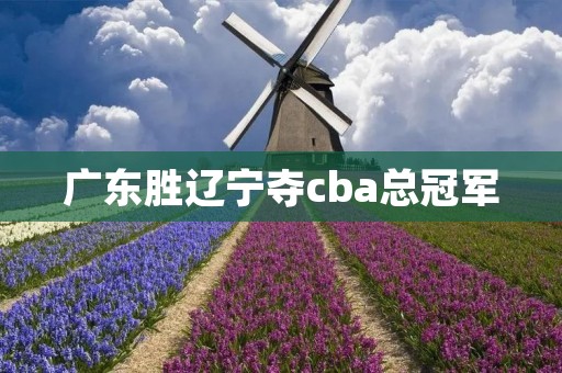 广东胜辽宁夺cba总冠军:重回巅峰的绝佳表现 广东胜辽宁夺cba总冠军:重回巅峰的绝佳表现
