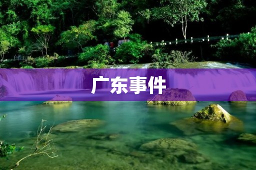 广东事件：掀起社会关注的风暴