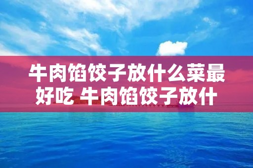 牛肉馅饺子放什么菜最好吃 牛肉馅饺子放什么菜最好吃视频