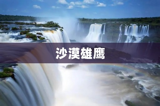 沙漠雄鹰:翱翔于无垠沙海的孤高之鸟