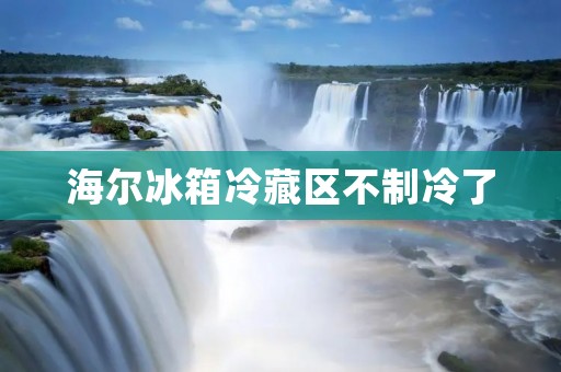 海尔冰箱冷藏区不制冷了:解决方法与常见故障排除 海尔冰箱冷藏区不制冷了:解决方法与常见故障排除