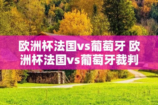 欧洲杯法国vs葡萄牙 欧洲杯法国vs葡萄牙裁判
