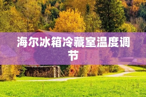 海尔冰箱冷藏室温度调节：为您带来更好的冷藏体验