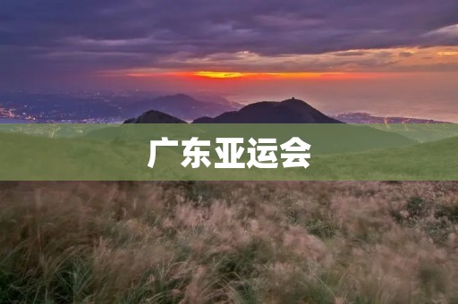 广东亚运会：彰显东方力量的盛会