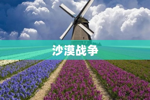 沙漠战争:残酷与无情的战场