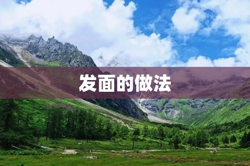 发面的做法:教你如何制作松软又有弹性的发面 发面的做法:教你如何制作松软又有弹性的发面