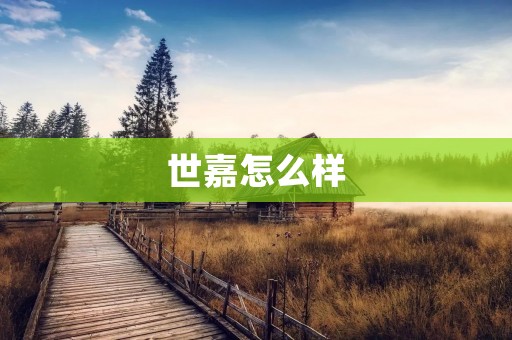 世嘉怎么样:一个游戏公司的兴衰沉浮 世嘉怎么样:一个游戏公司的兴衰沉浮