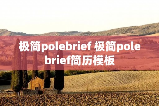 极简polebrief 极简polebrief简历模板 极简polebrief 极简polebrief简历模板