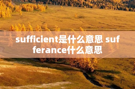 sufficient是什么意思 sufferance什么意思